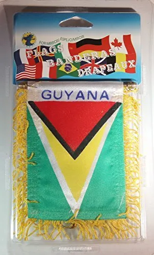 Guyana-Flag Mini Banner