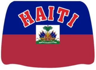 Headrest Cover 2pc-Haiti