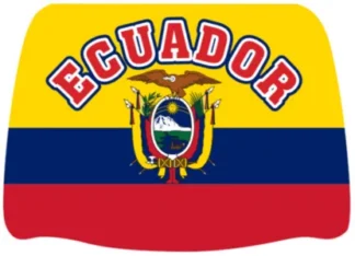 Headrest Cover 2pc-Ecuador