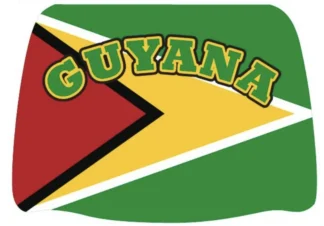 Headrest Cover 2pc- Guyana