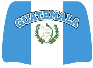 Headrest Cover 2pc-Guatemala