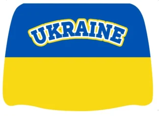 Headrest Cover 2pc-Ukraine