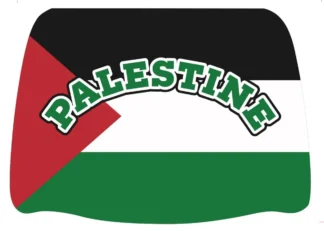 Headrest Cover 2pc-Palestine