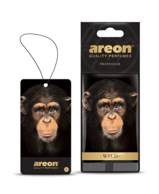 Areon Wild-Professor