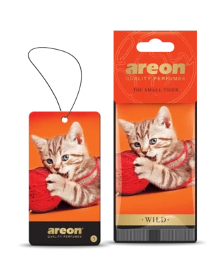 Areon Wild-The Small Tiger
