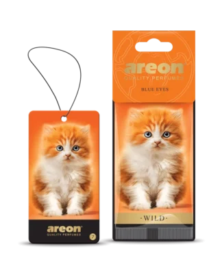 Areon Wild-Blue Eyes