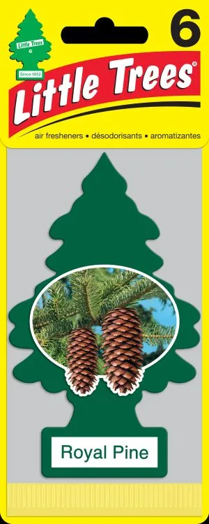 Little Trees 6-pak Royal Pine