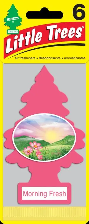 Little Trees 6-pak Morning Fresh
