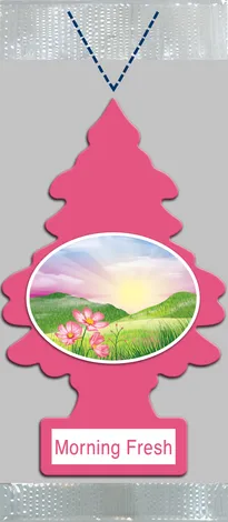 Little Tree' Vending pouch pack MORNING FRESH