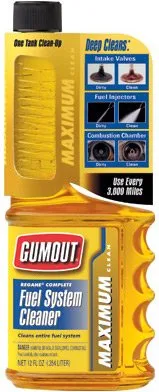 Regane Fuel System Cleaner 6/12oz.