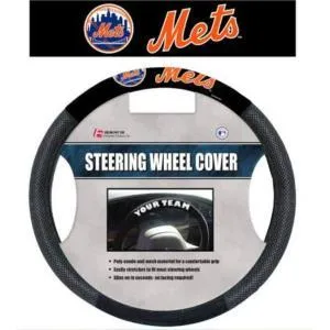 METS Mesh SWC